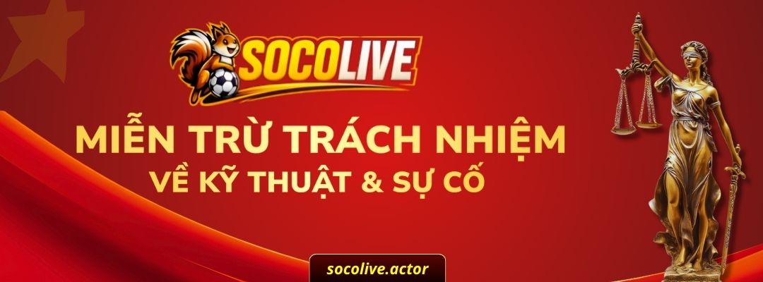 Miễn trừ trách nhiệm - Trách nhiệm về mặt kỹ thuật và sự cố